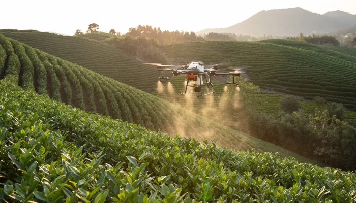 0EBllyLu-Agrodigital_PUCPR-3-jpg.webp.webp 0EBllyLu-Agrodigital_PUCPR-3-jpg.webp.webp