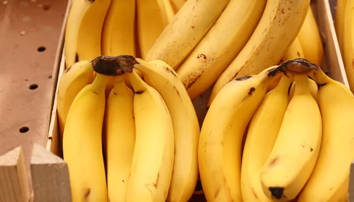0yidVDS9-Bunch-of-ripe-bananas-539469-1536x1024.webp.webp