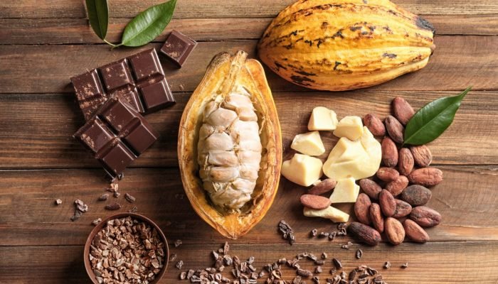 1748216884_cacau-e-chocolate-1536×1024.jpg 1748216884_cacau-e-chocolate-1536x1024.jpg