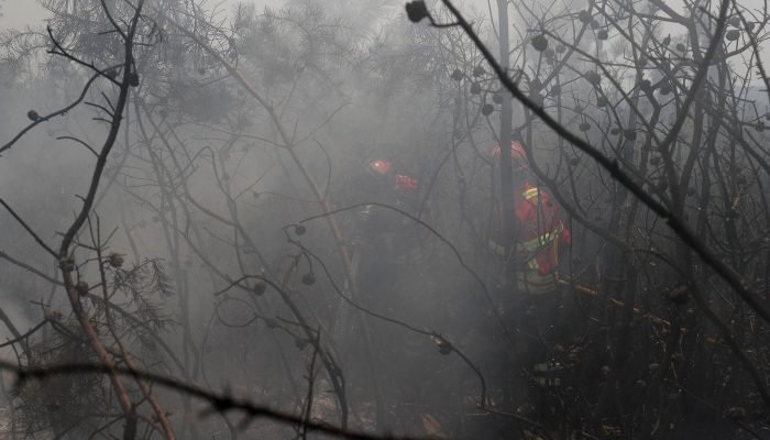 2019-07-21t134323z_1898307389_rc1d606eb770_rtrmadp_3_portugal-wildfires.jpg