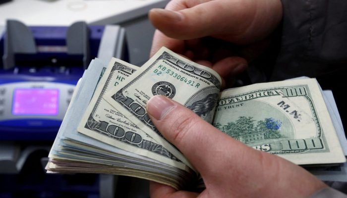2024-12-18T214506Z_1_LYNXMPEKBH0WP_RTROPTP_4_TURKEY-MONEY-COUNTERFEIT-DOLLARS.jpg 2024-12-18T214506Z_1_LYNXMPEKBH0WP_RTROPTP_4_TURKEY-MONEY-COUNTERFEIT-DOLLARS.jpg