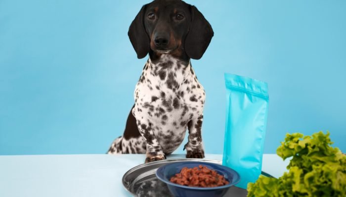 Cachorro-em-frente-a-um-pode-de-comida.jpg Cachorro-em-frente-a-um-pode-de-comida.jpg