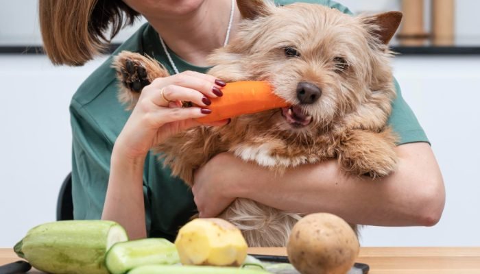 Cachorro-no-colo-de-uma-mulher-comendo-cenoura.jpg