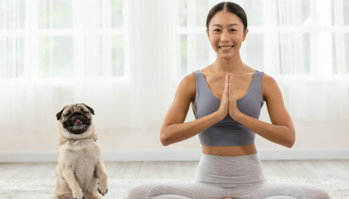 Cao-e-tutor-yoga.png Cao-e-tutor-yoga.png