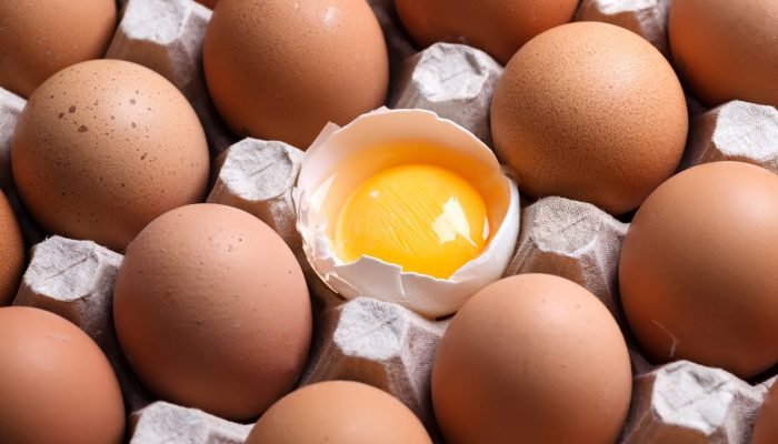 Carton_Eco_Box_With_Natural_Farm_Eggs_original_1091226-1536×1025.jpg Carton_Eco_Box_With_Natural_Farm_Eggs_original_1091226-1536x1025.jpg