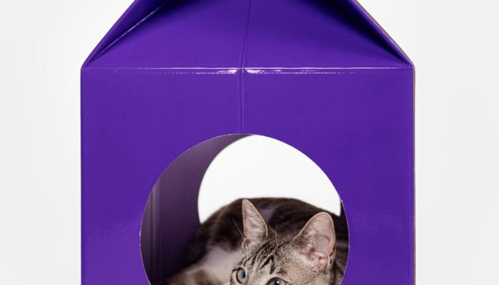 Casinha-colecao-pet-love-scaled-e1758639886651.jpg Casinha-colecao-pet-love-scaled-e1758639886651.jpg