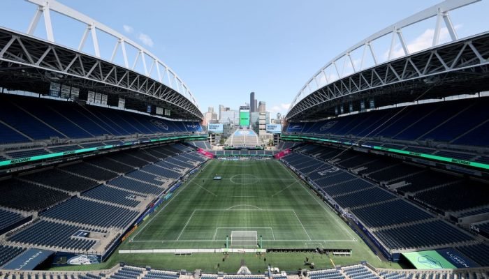 Estádio da estreia do Botafogo troca 'tapetinho' por grama natural