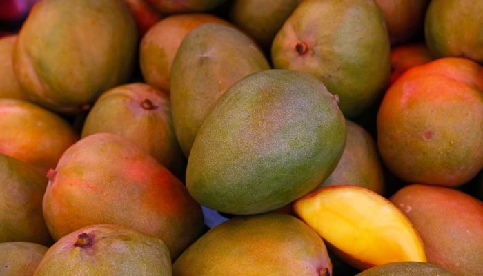 Fresh_Mangos_On_Market_Stall_original_2186257-1536×1024.jpg Fresh_Mangos_On_Market_Stall_original_2186257-1536x1024.jpg