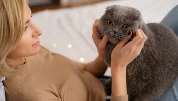 GATO-CINZA-NO-COLO-DE-UMA-MULHER.jpg GATO-CINZA-NO-COLO-DE-UMA-MULHER.jpg