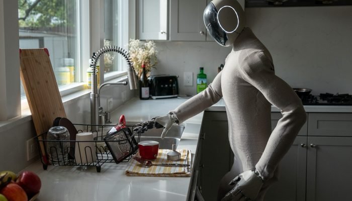 HUMANOID-ROBOTS-ADV06-2.jpg HUMANOID-ROBOTS-ADV06-2.jpg