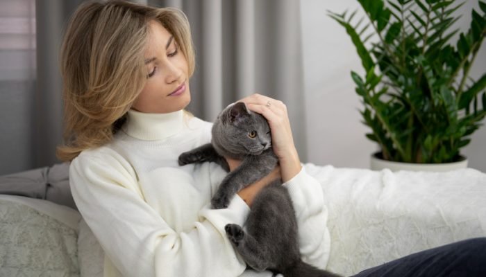 Mulher-loira-com-um-gato-cinza-no-colo.jpg Mulher-loira-com-um-gato-cinza-no-colo.jpg