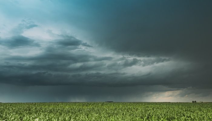 Storm_And_Clouds_Above_Corn_Field_original_1630049-1536x864.jpg
