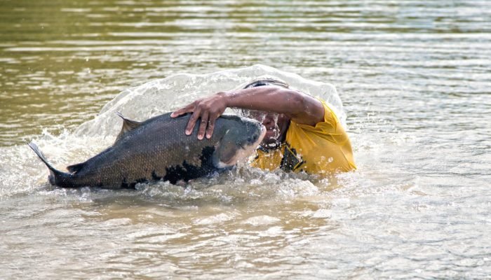 Tambaqui-Foto-Jefferson-Christofoletti-Embrapa-Pesca-e-Aquicultura-1536×1006.jpg Tambaqui-Foto-Jefferson-Christofoletti-Embrapa-Pesca-e-Aquicultura-1536x1006.jpg