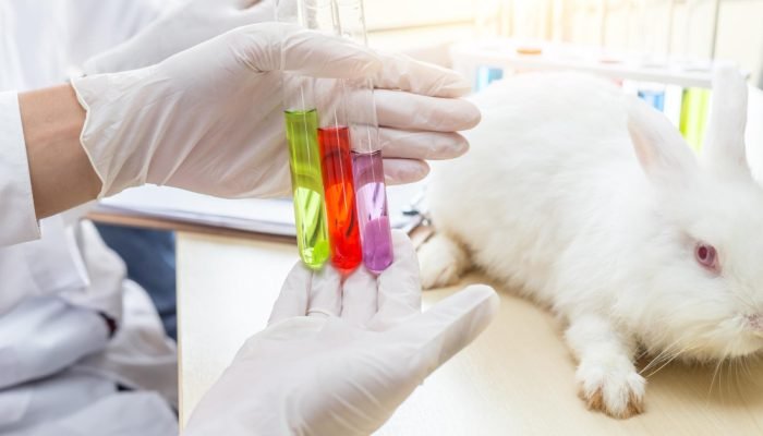Teste-em-animais-coelho.jpg