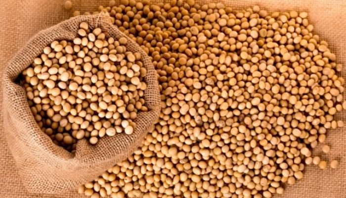 Uxu4e0Hl-soybeans-2039638_1920_640x480_acf_cropped.jpg