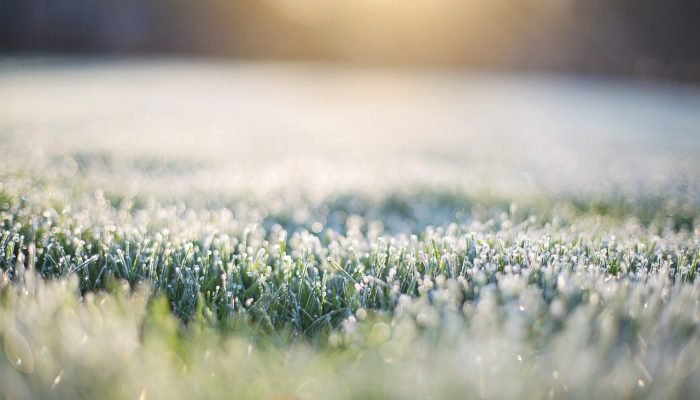 VSBnwIcp-frost-on-grass-1358934_1280.jpg