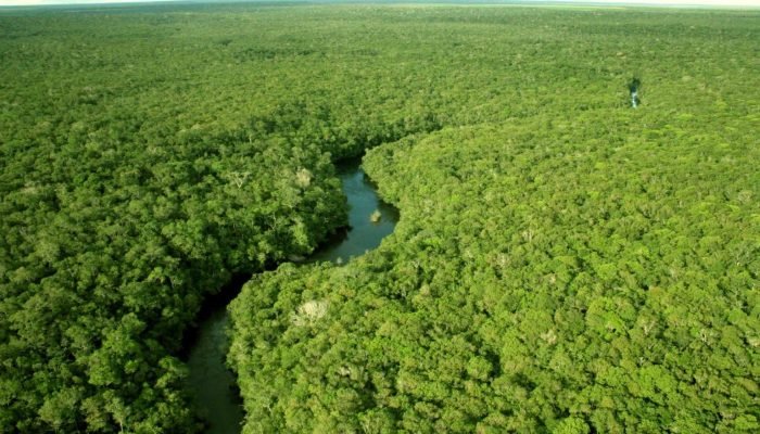 aMAZONIA-1536×1024.jpg aMAZONIA-1536x1024.jpg