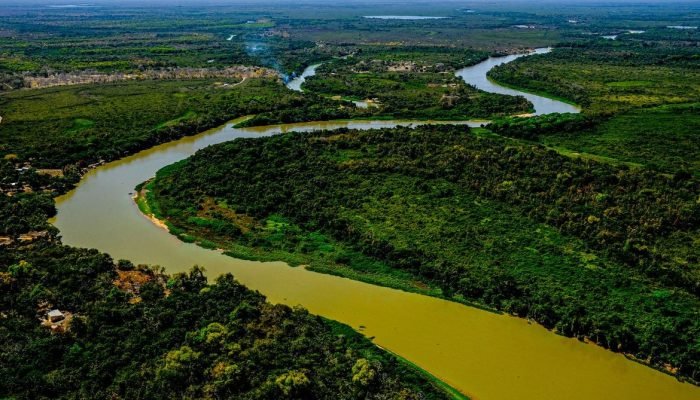 agronegocio-projeto-Pantanal-Mato-Grosso-do-Sul.jpg agronegocio-projeto-Pantanal-Mato-Grosso-do-Sul.jpg