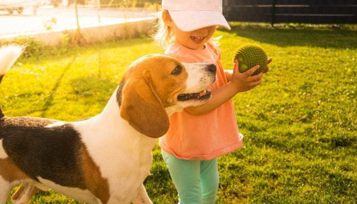 beagle-brincando-com-uma-crianca.jpg