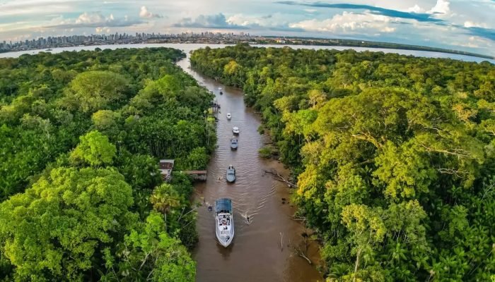 bioeconomia-Amazonia.jpg bioeconomia-Amazonia.jpg