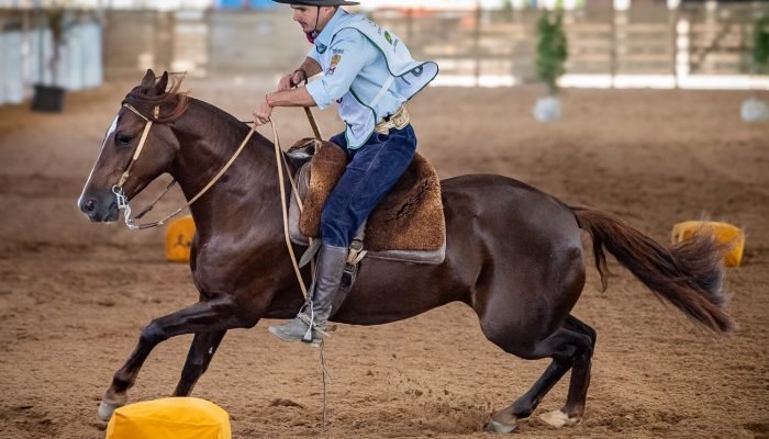 bocal-de-ouro.jpg bocal-de-ouro.jpg