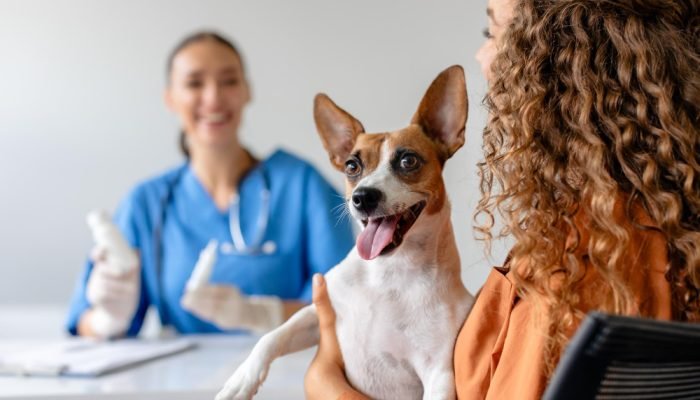 cachorro-em-consulta-veterinaria.jpg cachorro-em-consulta-veterinaria.jpg