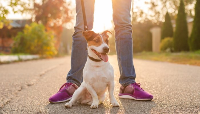 cachorro-entre-as-pernas-de-uma-mulher-ao-por-do-sol.jpg cachorro-entre-as-pernas-de-uma-mulher-ao-por-do-sol.jpg