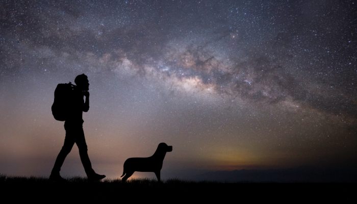 cao-sob-as-estrelas.png cao-sob-as-estrelas.png
