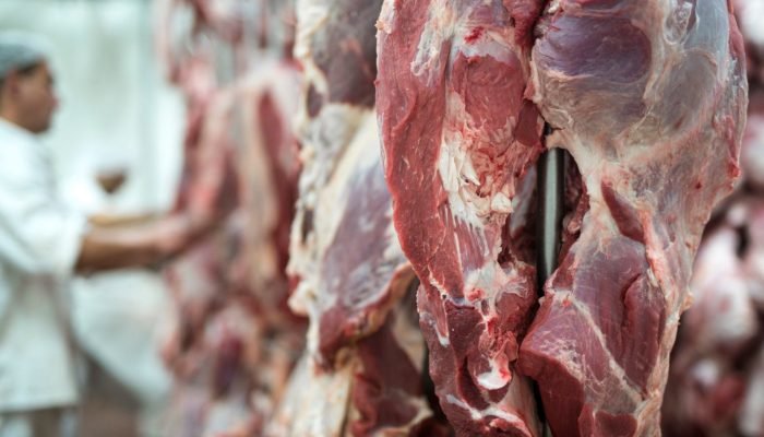 carne-vermelha-fresca-e-trabalhador-de-acougue-trabalhando-em-segundo-plano-1536×1025.jpg carne-vermelha-fresca-e-trabalhador-de-acougue-trabalhando-em-segundo-plano-1536x1025.jpg