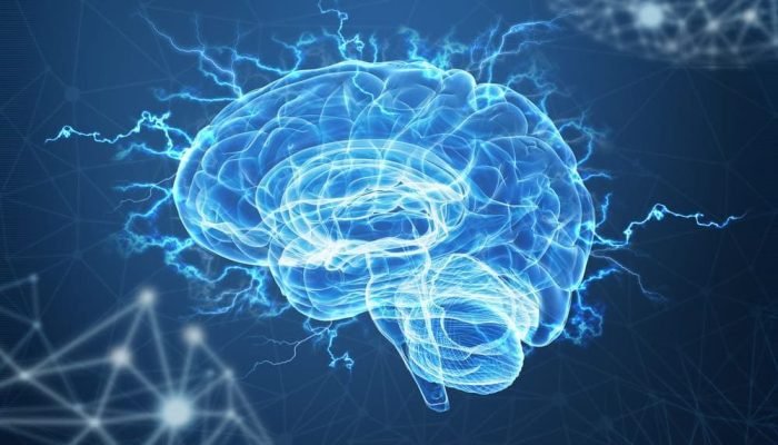 cerebro-humano-e-suas-funcoes.jpg cerebro-humano-e-suas-funcoes.jpg