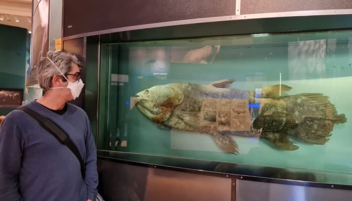 coelacanth-nmnh-20220218-153341.jpg