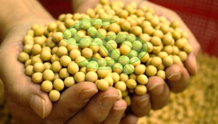 comercializacao-commodities.jpg comercializacao-commodities.jpg
