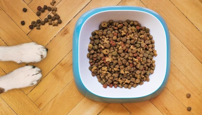 dry-dog-food-5198627_1280.jpg dry-dog-food-5198627_1280.jpg