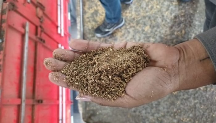 farelo-de-soja-adulterado-Porto-de-Paranagua.jpeg