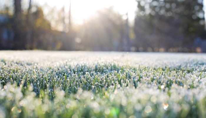 frost-on-grass-1358928_1920.jpg
