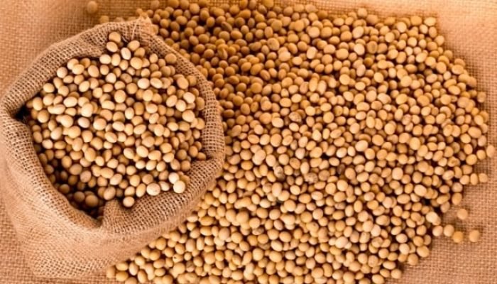 gWSzESai-soybeans-2039638_1920_640x480_acf_cropped_640x480_acf_cropped_640x480_acf_cropped.jpg gWSzESai-soybeans-2039638_1920_640x480_acf_cropped_640x480_acf_cropped_640x480_acf_cropped.jpg