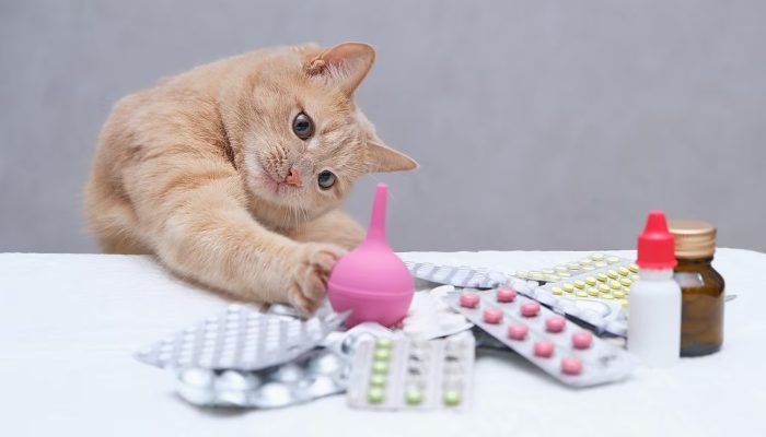 gato-vermelho-brincando-com-pilha-de-enema-medico-de-borracha-de-medicamentos.jpg