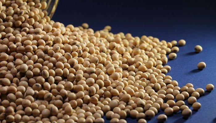 graos-soja.jpg