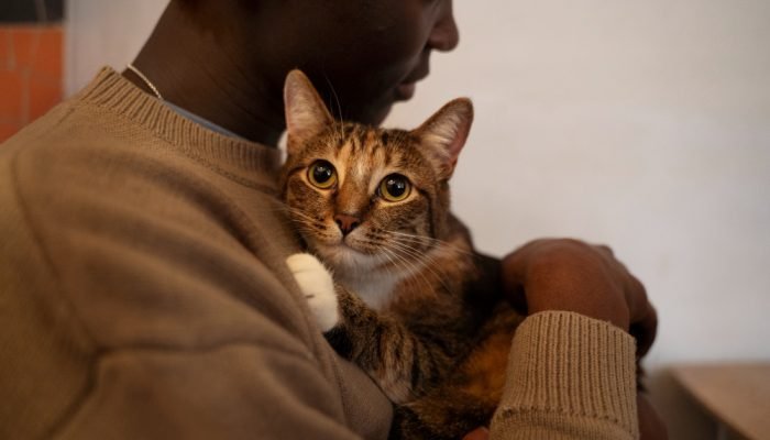 homem-abracado-com-um-gato.jpg