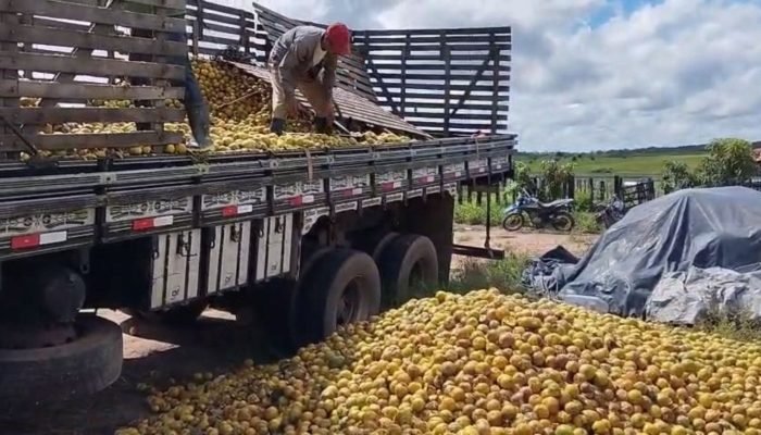 laranja-podre-rioreal-foto-reproducao-1536×868.jpeg laranja-podre-rioreal-foto-reproducao-1536x868.jpeg