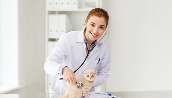 medica-veterinaria-examinando-um-gato.jpg