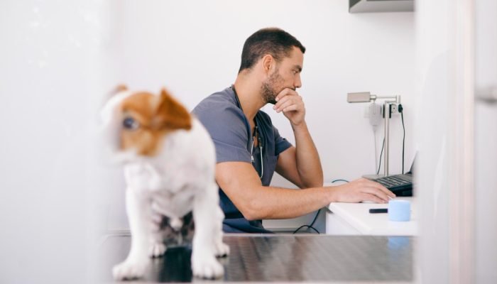 medico-veterinario-no-consultorio.jpg medico-veterinario-no-consultorio.jpg