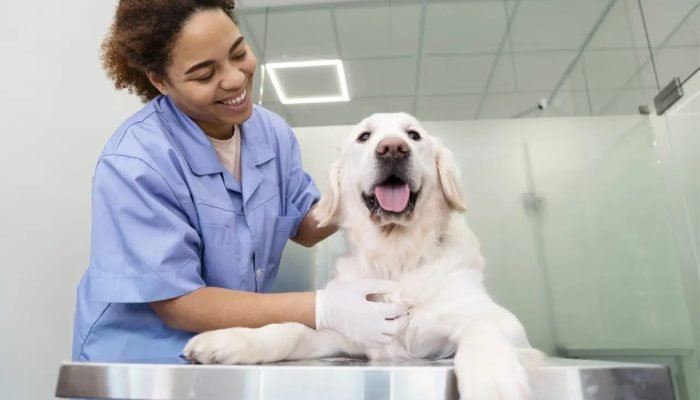 medium-shot-smiley-doctor-checking-dog-scaled.jpg