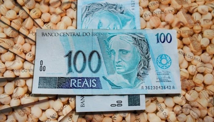mercado-da-soja-dinheiro.jpg