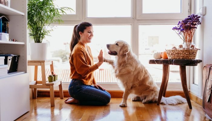 mulher-brincando-com-um-golden-retriever-em-frente-a-uma-janela.jpg mulher-brincando-com-um-golden-retriever-em-frente-a-uma-janela.jpg