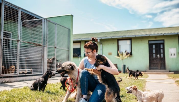 mulher-em-abrigo-de-animais-com-caes.jpg mulher-em-abrigo-de-animais-com-caes.jpg