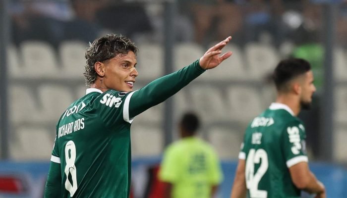 palmeiras-rios.jpg palmeiras-rios.jpg