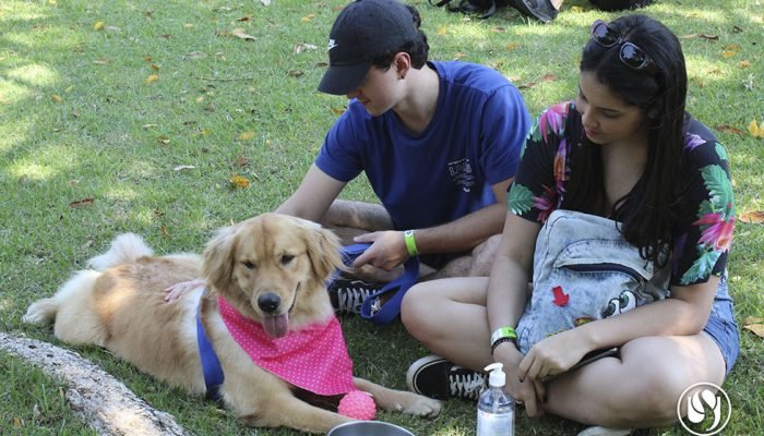 pet-weekend-sorocaba.jpg pet-weekend-sorocaba.jpg