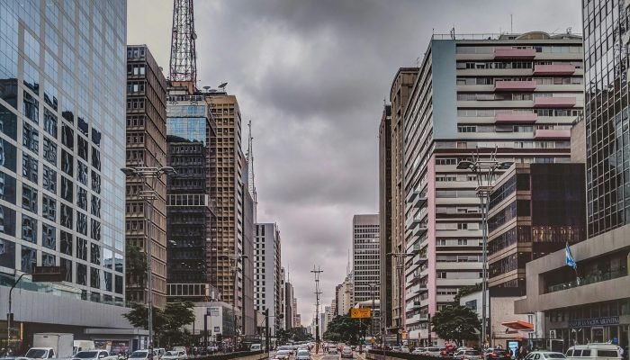 pexels-willian-santos-44398111-7443645.jpg pexels-willian-santos-44398111-7443645.jpg