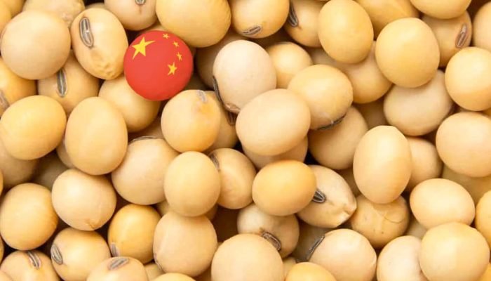 qOgQlEHi-mercado-da-soja-china.jpg
